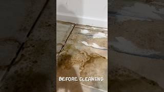 Paper STUCK to the floor told me everything I needed to know,wait until you see this transformation