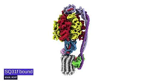 Molecular insights may inform new treatments for drug-resistant tuberculosis