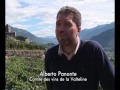 Route des vins  italie  des alpes aux apennins