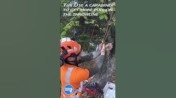 GREAT TIP FOR PULLING A STUCK THROW LINE | Climbing Arborist