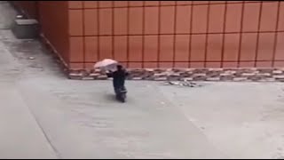WTF Compilation 30