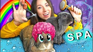 видео: ПОСЛЕДНЕЕ ВИДЕО СПА Салон Для Кроликов - Кролик Лизун умер | Elli Di Pets картинка: ПОСЛЕДНЕЕ ВИДЕО СПА Салон Для Кроликов - Кролик Лизун умер | Elli Di Pets
