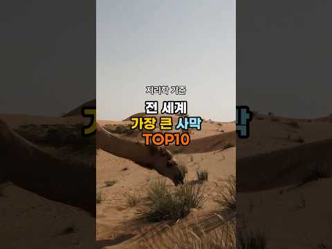 세계에서 가장 큰 사막 TOP10 🏜 (남극이 1위라고?)