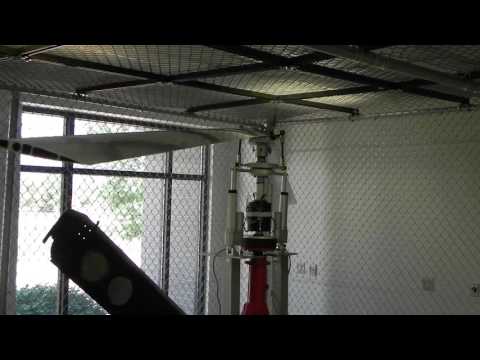 Subscale whirl stand rotation test