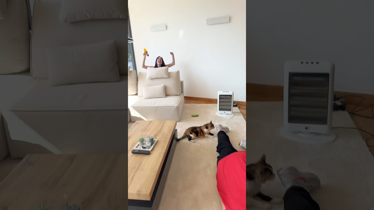 Murder Mistery 2 en la vida real