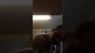 Information goodbye beard you will be missed Guide