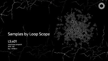 Samples by Loop Scope - LS.s01