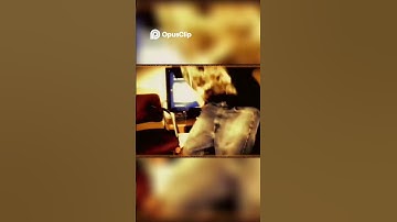 Finding Strength in Vulnerability  A Heartfelt Journey