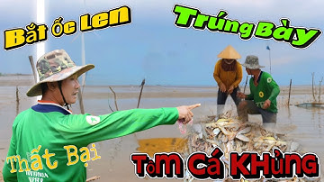 Đi Bắt Ốc Len Thất Bại Vô Tình Trúng Bày Tôm Cá Khủng | Nguồn Lên Miền Tây Vlog 
