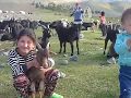 Mongolia-Bayan nur-dad pasenda