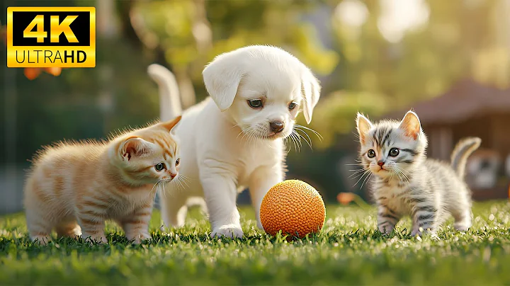 Baby Animals 4K UHD - Happy Fairy Tales Surrounding Lovely Baby Animals With Relaxing Healing Music thumbnail