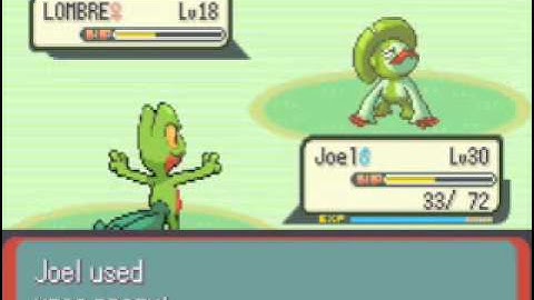 May - Route 110 Solo (Treecko)