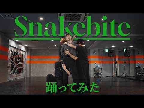 【踊ってみた】Snakebite - KID PHENOMENON 【GANMI TV】