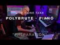 Piano, PolyBrute, Osmose Ambient Improv — “Preparation” (live, one take)
