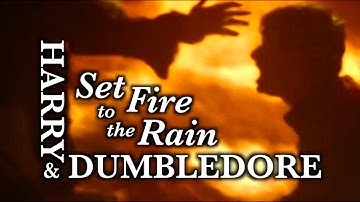Harry & Dumbledore:  