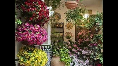 سورة الكافرون _ القارئ احمد النفيس.....