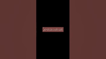 والمؤمنون والمؤمنات بعضهم أولياء بعض | الآية 71 من سورة التوبة #قرآن #احمد_العجمي #آيات