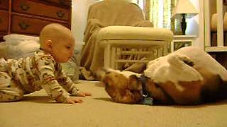 Beagle Meets the Baby