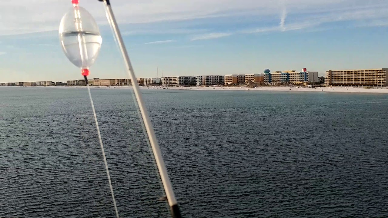 2018 Thanksgiving vacation Florida - YouTube