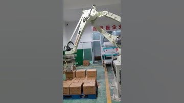 Automatic Box robot arm palletizer robotic palletizing machine