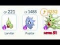 Shadow larvitar evolution line is insane