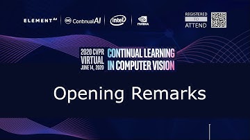 [CLVision @ CVPR2020] Opening Remarks