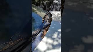 XK8 300 сил