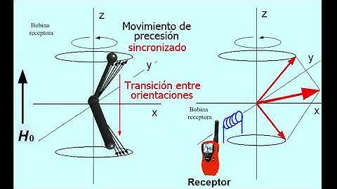 ¿El Fundamento de la RMN? Pero si es muy fácil. Aprende RMN conmigo