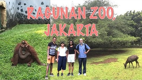 Ragunan Zoo, South Jakarta 🇮🇩