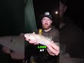 unexpected species  #beachfishing #fish #fishingtechniques #angler #fishing #fishingmethods