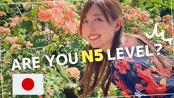 4. If you understand this, you are JLPT N5 level!