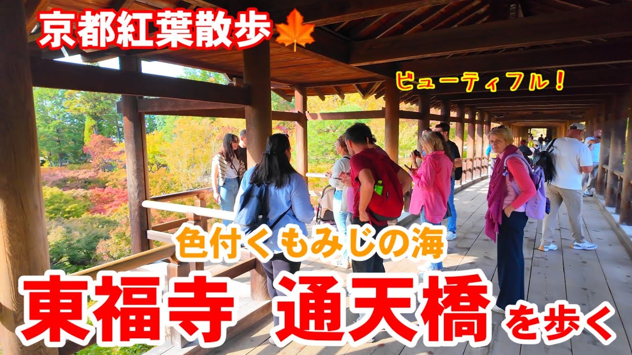 光悦會の歩み maxresdefault.jpg