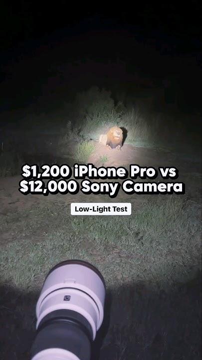 IPhone 15 Pro Vs Sony A9III Low Light Performance Test wildlife sony iphone-15-pro-vs-sony-a9iii-low-light-performance-test-wildlife-sony