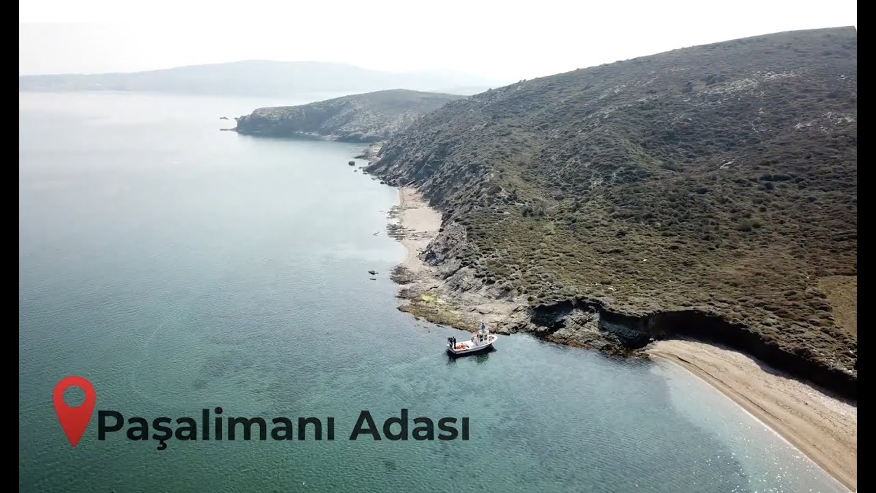 PAŞALİMANI ADASI