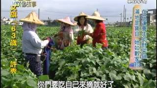 【台灣1001個故事】 花蓮養生的野菜鍋 青菜大口吃 她用力推廣 1011209