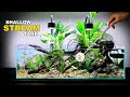 Making A Realistic Stream Aquarium For Extinct Fish