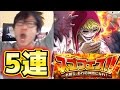 トレクル！スゴフェス！コラソン追加！コラさん狙いで5連！タカシ編 ONE PIECE