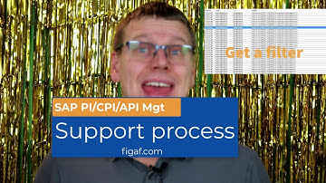 SAP Integration support with a simple filter for SAP PI/CPI and API mgt