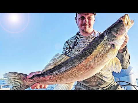 Видео: 8 причин, почему вы не ловите рыбу