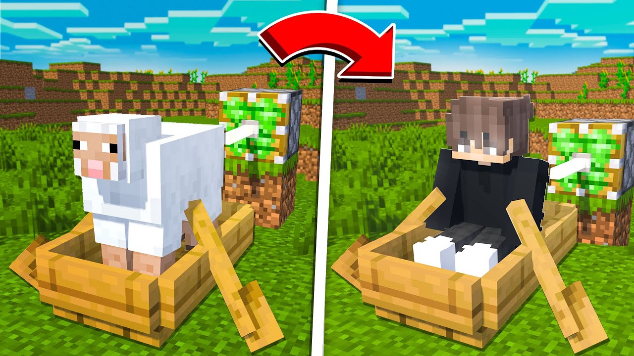 👀MINECRAFT QOʻY VA OʻYINCHI OʻRNI ALMASHIB QOLDI ? | MINECRAFT UZBEK TILIDA