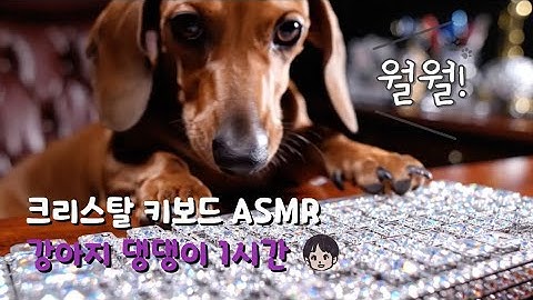 [AI ASMR] 크리스탈 키보드 ASMR | 강아지 댕댕이 1시간