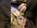 Tyeps of banana in Dubai   #breakingnews #shorts |A.R BEAST # youtube #yt kids