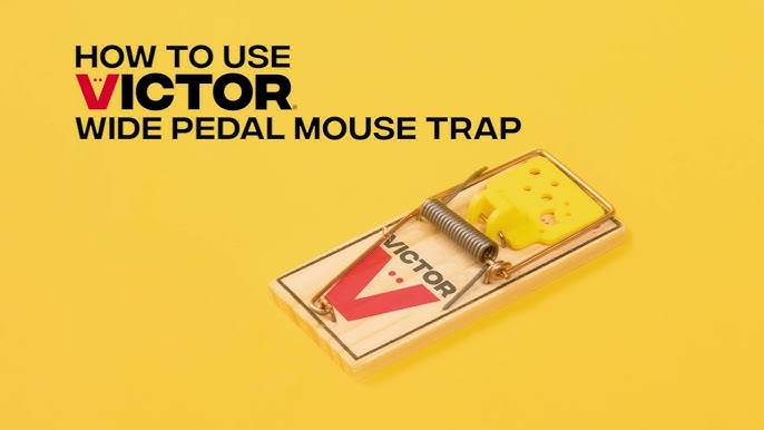 Victor M325 Easy Set Mouse Trap