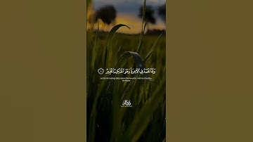 من سورة سبأ | تلاوة طارق محمد 🌿