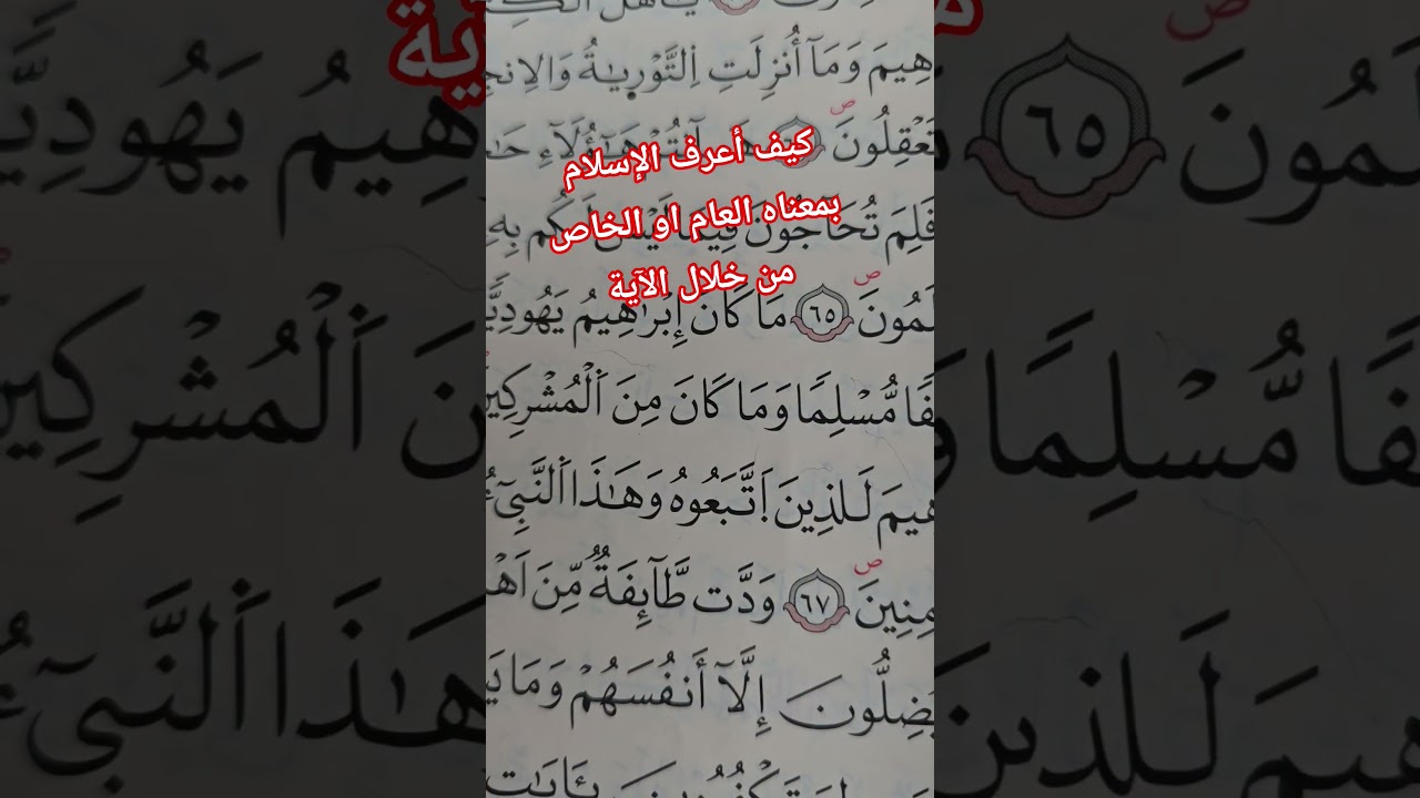 سلسلة فائدة في دقيقة مع الأستاذة بوسعادي