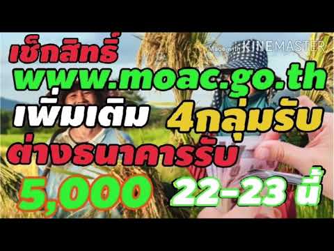 ข่าวดี!www.เยียวยาเกษตรกร.com 4กลุ่มรับเงินเพิ่ม เช็คสิทธิ์ www.moac.go.th