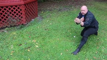 Bujinkan Ninjutsu, 9th Kyu, Part 9 - Yoko Nagare