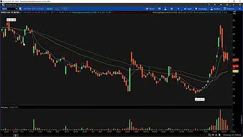 Watch List Video for December 19th