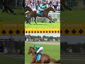 Watch as Whistlejacket secures  his spot in the #BreedersCup Juvenile Turf Sprint!