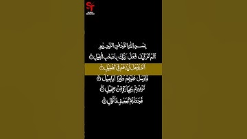 Surat Al - Fil #short  105  سورة الفيل